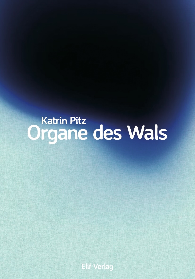 Organe des Wals