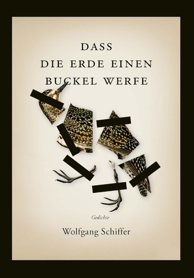 Dass die Erde einen Buckel werfe · Wolfgang Schiffer